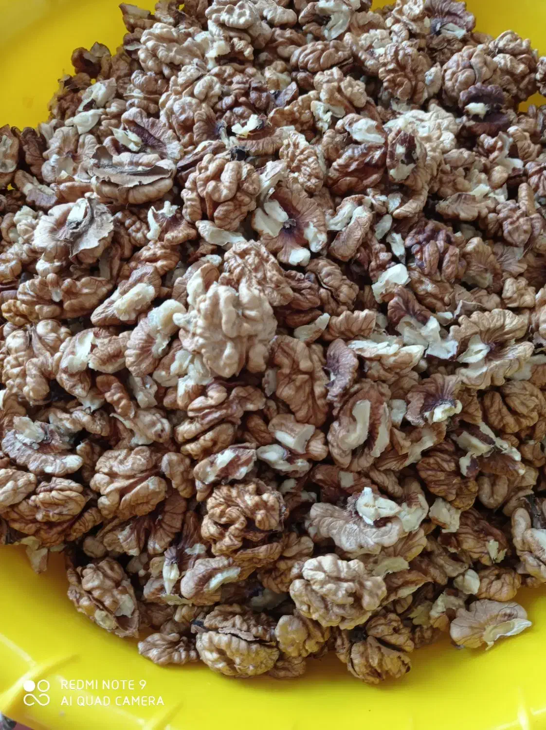 مغز گردو درجه یک اشکورات رحیم آباد|خوردنی و آشامیدنی|رحیمآباد, |دیوار