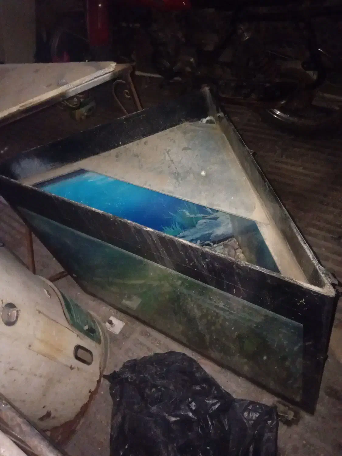 اکواریوم|ماهی|گرگان, |دیوار