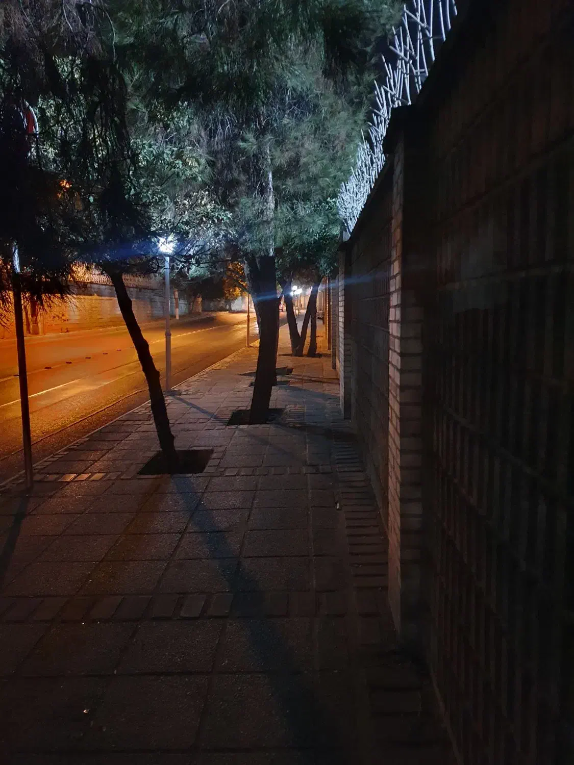 خط موبایل|سیم‌کارت|شیراز, تاچارا|دیوار