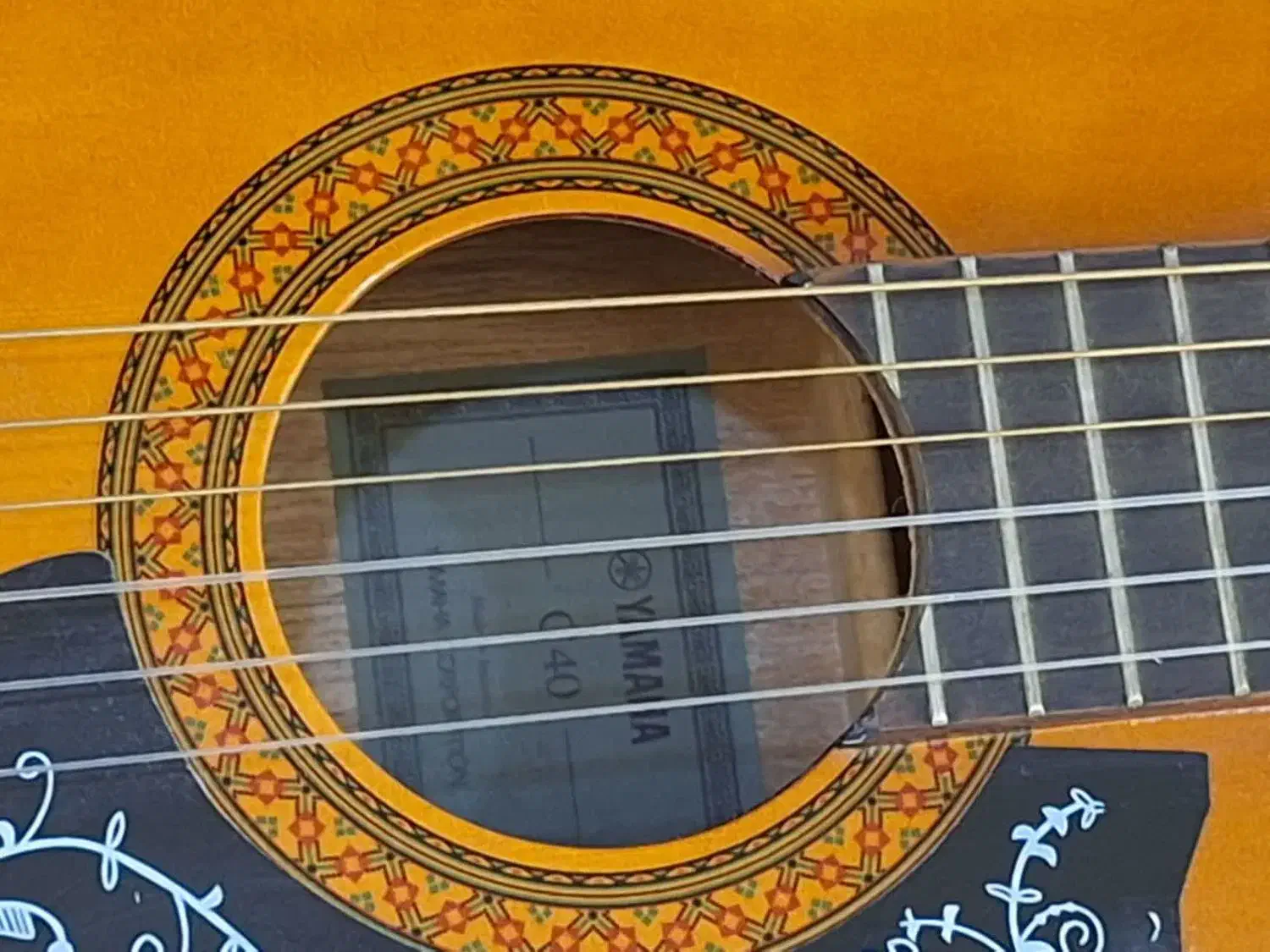 گیتار C40|گیتار، بیس، امپلیفایر|قم, باجک دو|دیوار