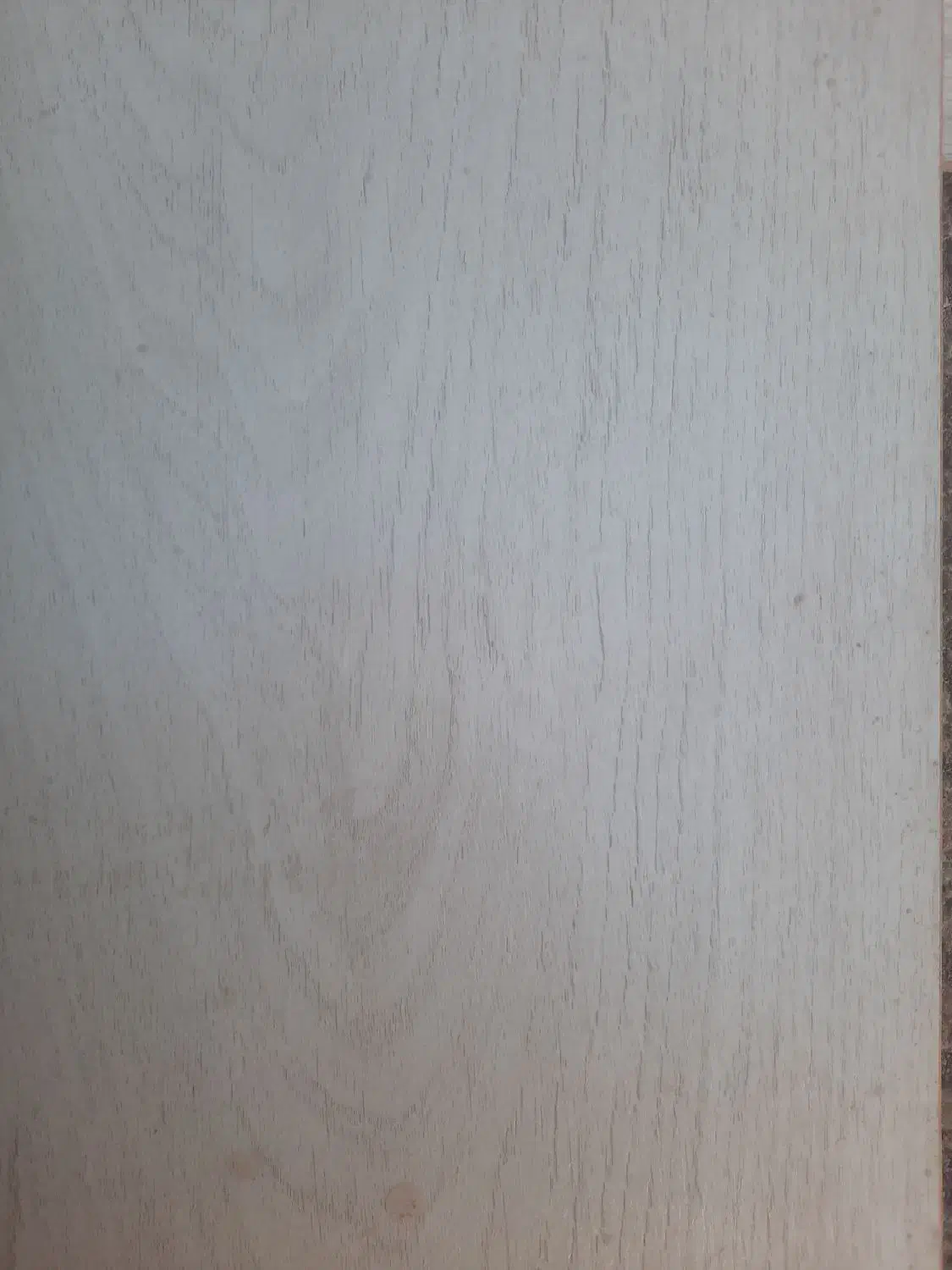 پارکت لمینت|مصالح و تجهیزات ساختمان|زنجان, |دیوار