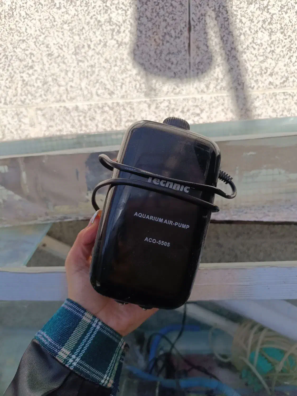 اکواریوم|ماهی|محمدشهر, محمدشهر|دیوار