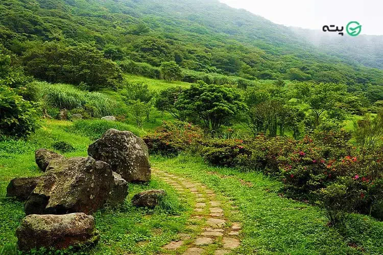 زمین کشاورزی آبی|فروش دفتر صنعتی، کشاورزی، تجاری|دالاهو, |دیوار