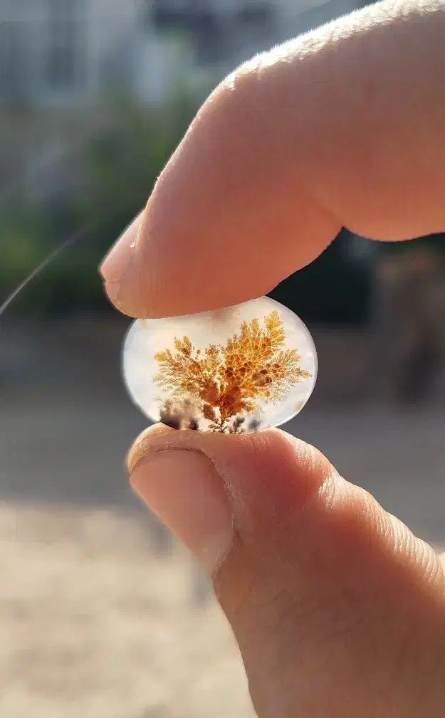 سنگ شجر|جواهرات|سرپل ذهاب, |دیوار