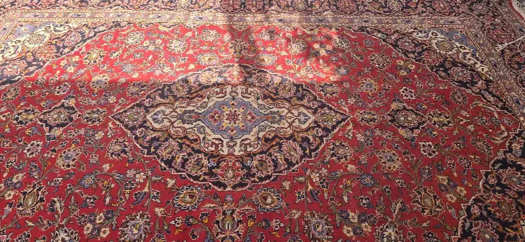 فرش دستباف|فرش|شیراز, اصلاح‌نژاد|دیوار