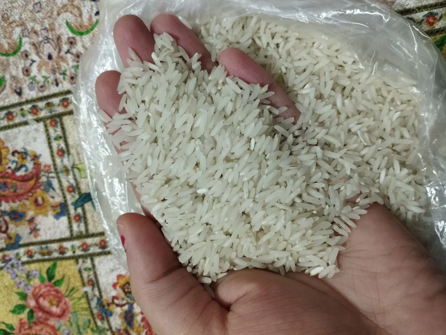 برنج طارم هاشمی دونوج|خوردنی و آشامیدنی|محمودآباد, |دیوار