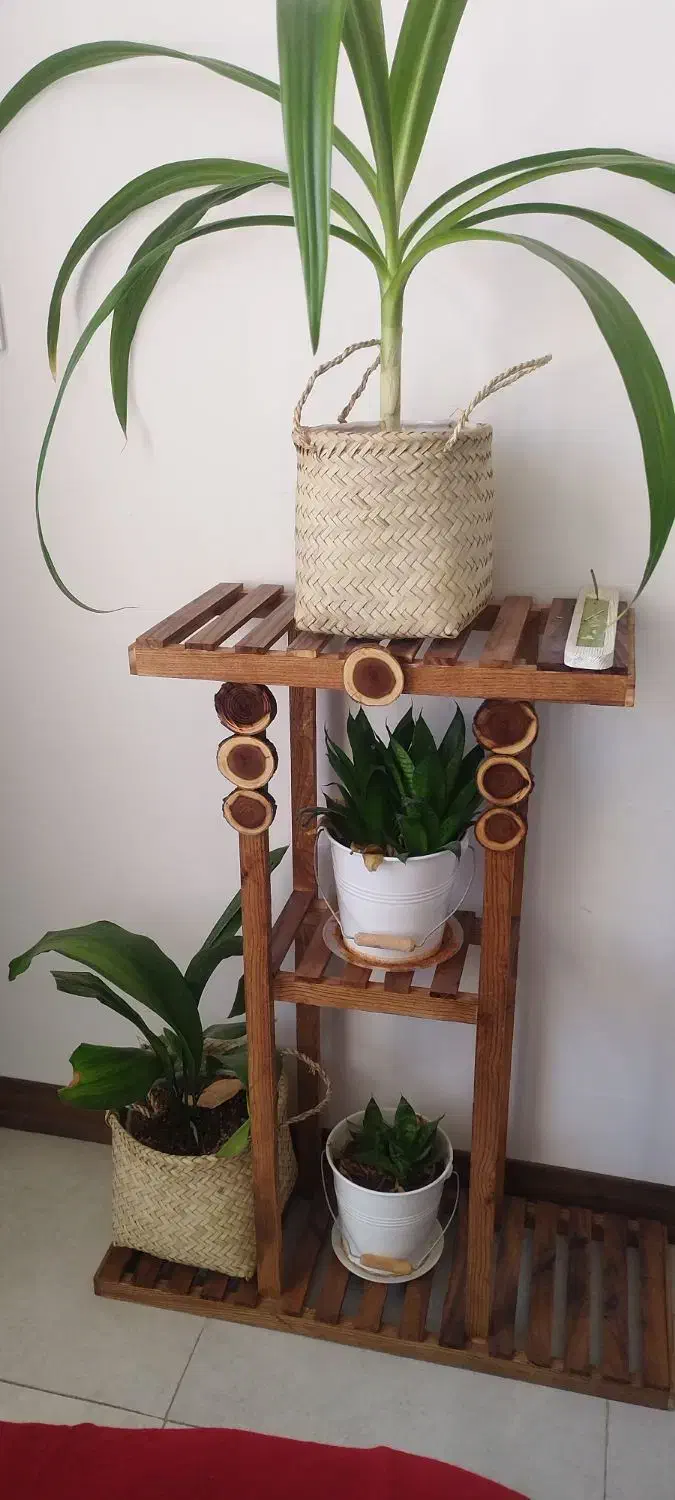 استندچوبی گل و گیاه|کتابخانه، شلف، قفسه‌های دیواری|کرمان, |دیوار