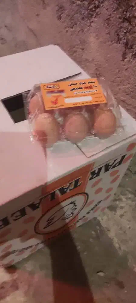 تخم مرغ رسمی|خوردنی و آشامیدنی|تهران, شهران شمالی|دیوار