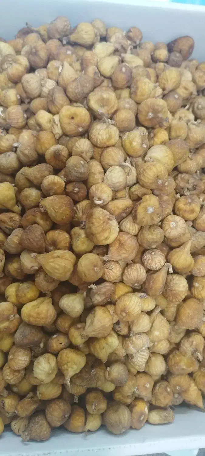 همکار خانم|خوردنی و آشامیدنی|سبزوار, امیریه|دیوار