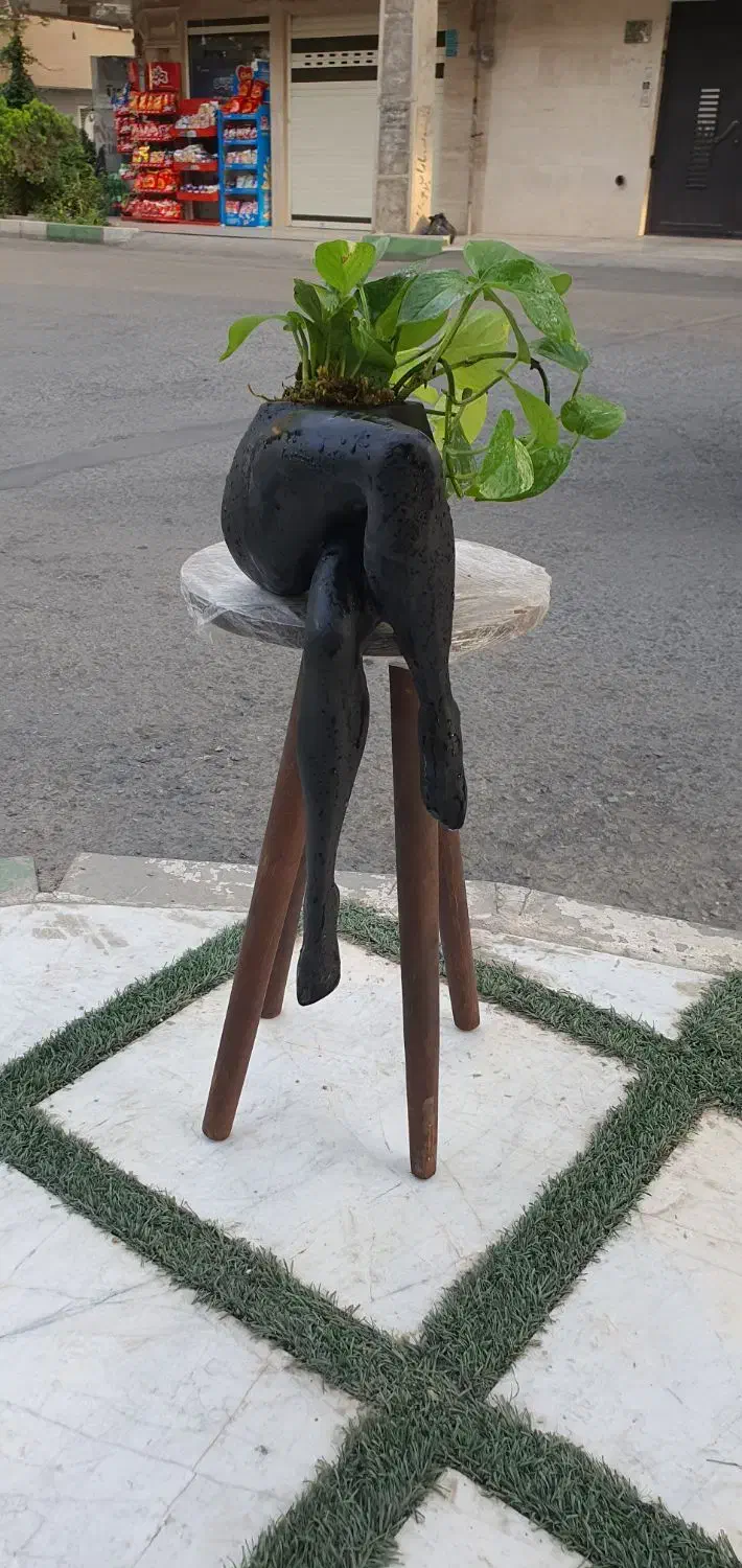 گلدان پا فانتری|گل و گیاه طبیعی|قم, انسجام|دیوار