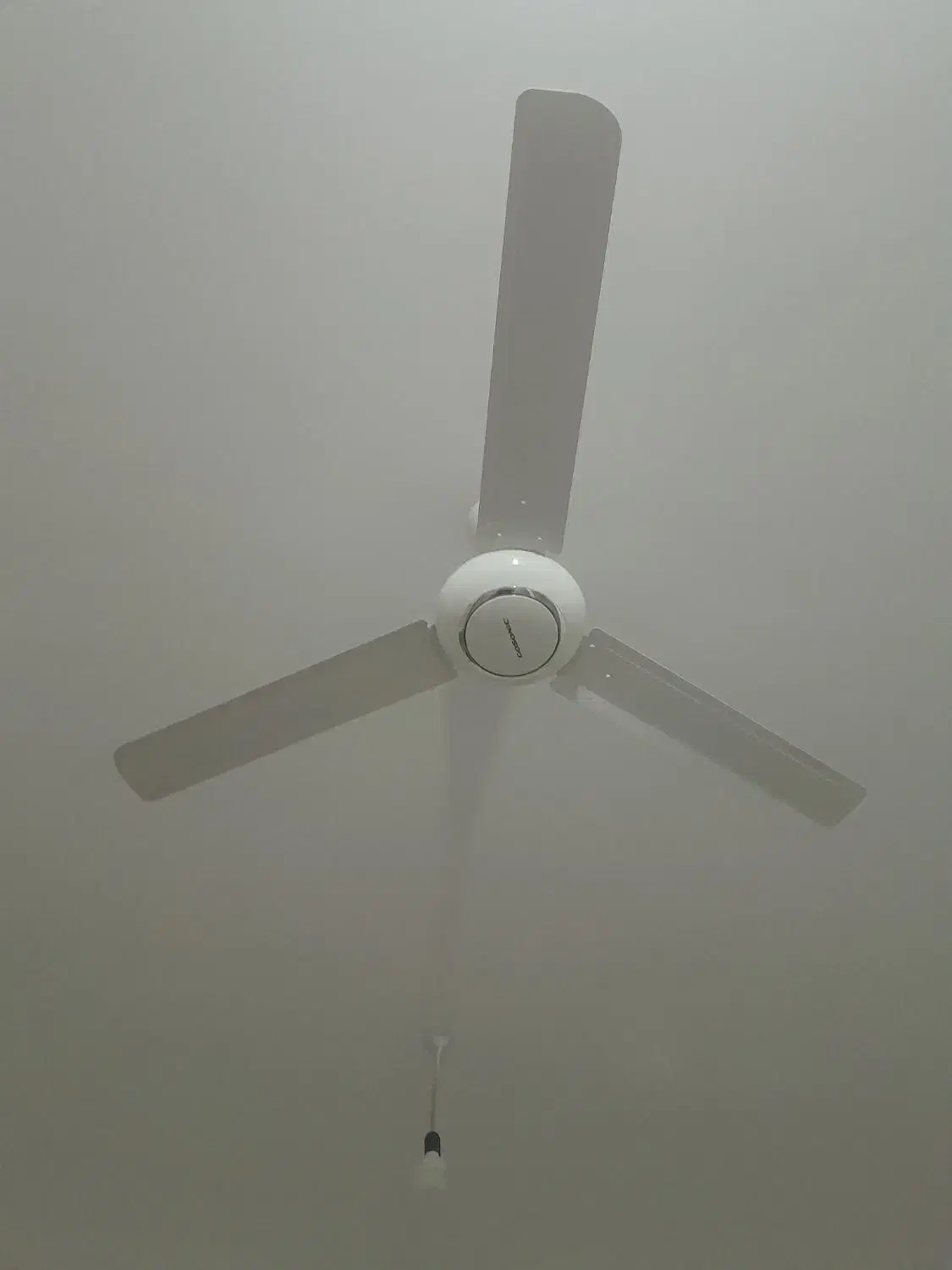 برقکاری ساختمان پذیرفته میشود|خدمات پیشه و مهارت|گرگان, |دیوار