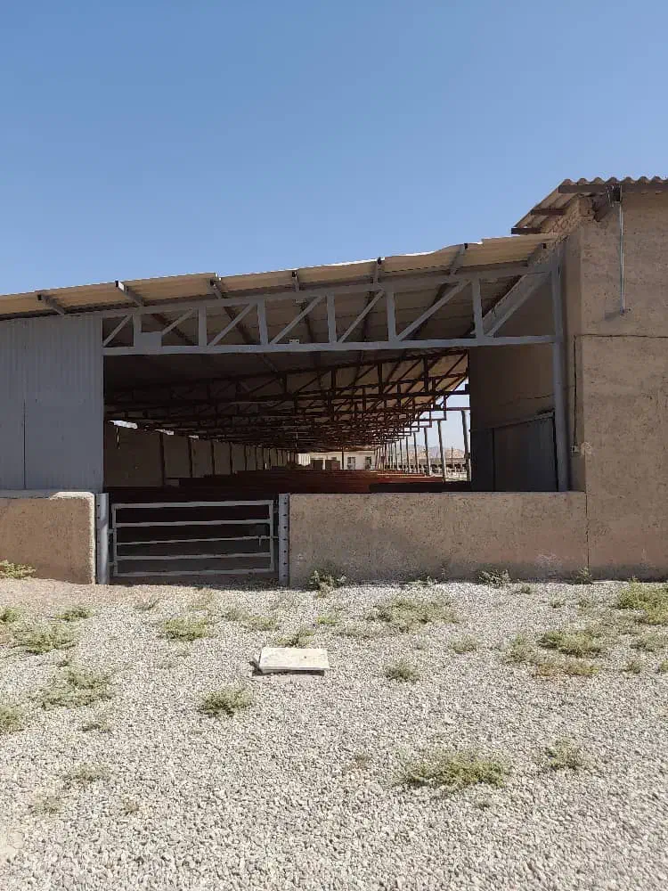 رهن/اجاره دامپروری (گاوداری شیری و پرواری)|اجارهٔ دفتر صنعتی، کشاورزی، تجاری|فشاپویه, |دیوار