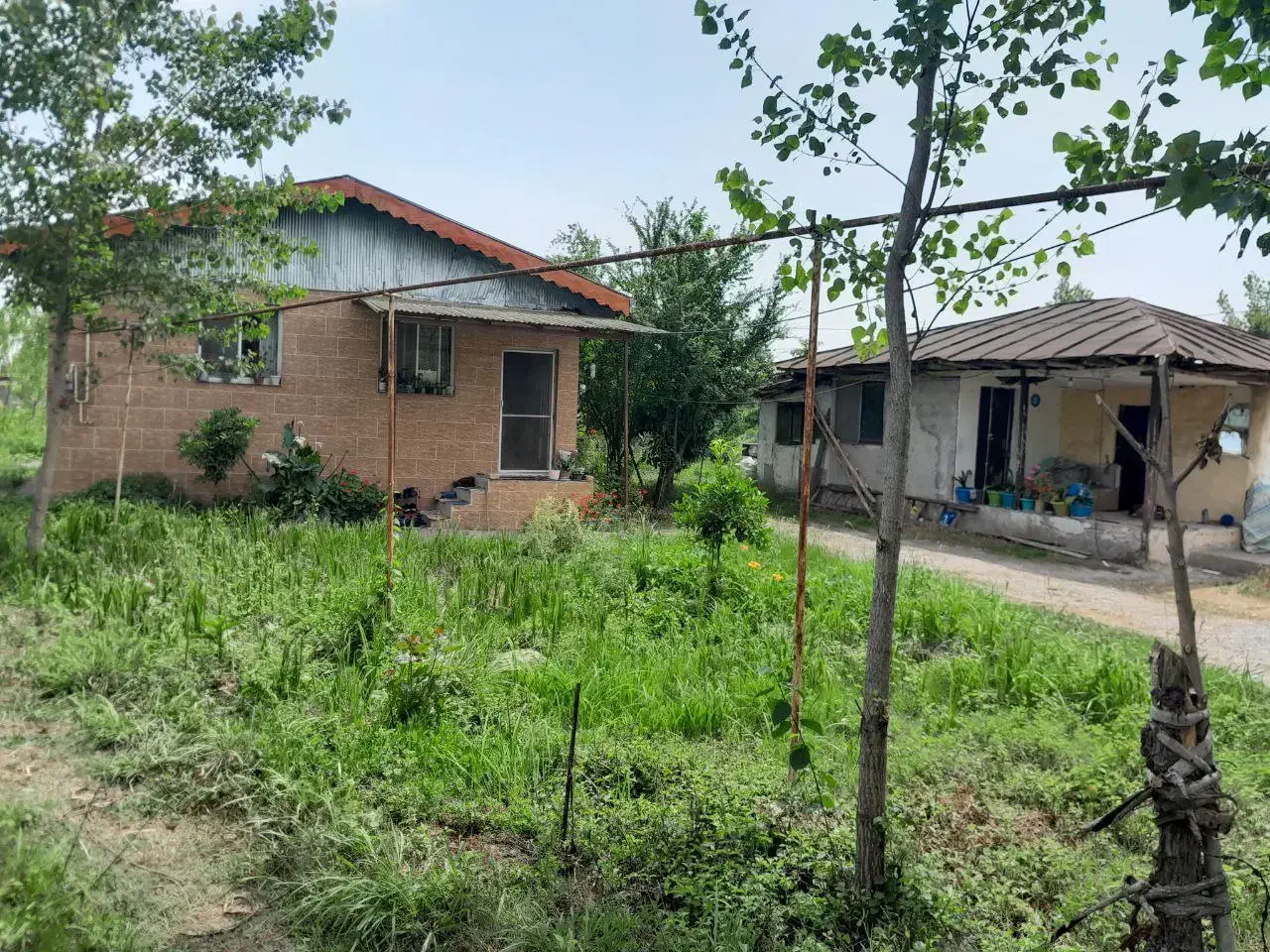 ویلاباغ زیباویوابدی۱۲۰۰متر سندتکبرگ مسکونی|فروش خانه و ویلا|رشت, بوسار|دیوار