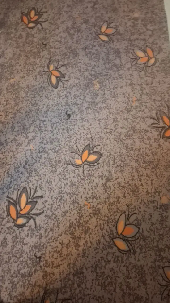 فرش ۹متری|فرش|خمینی‌شهر, |دیوار