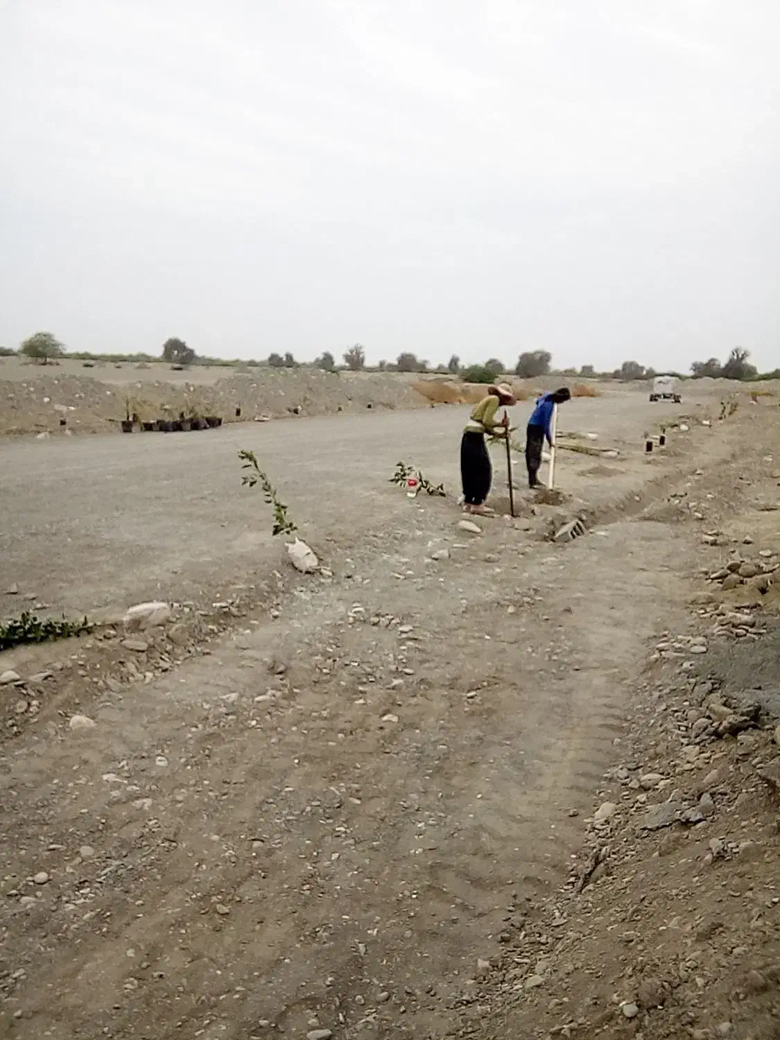 جذب نیرو در شرکت اذینسازان|استخدام حمل و نقل|تبریز, |دیوار