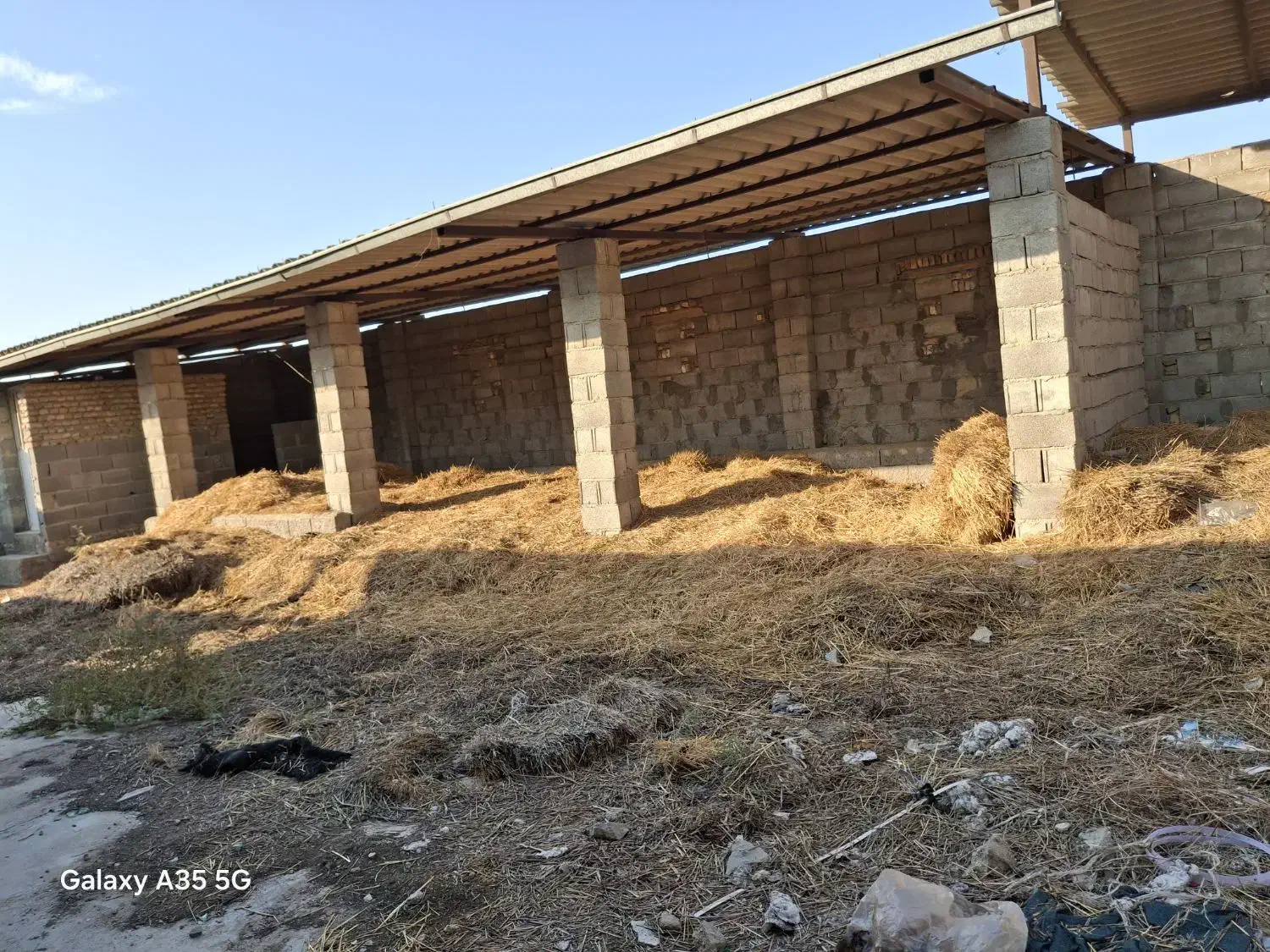 کاه گندم|لوازم جانبی حیوانات|گنبد کاووس, |دیوار