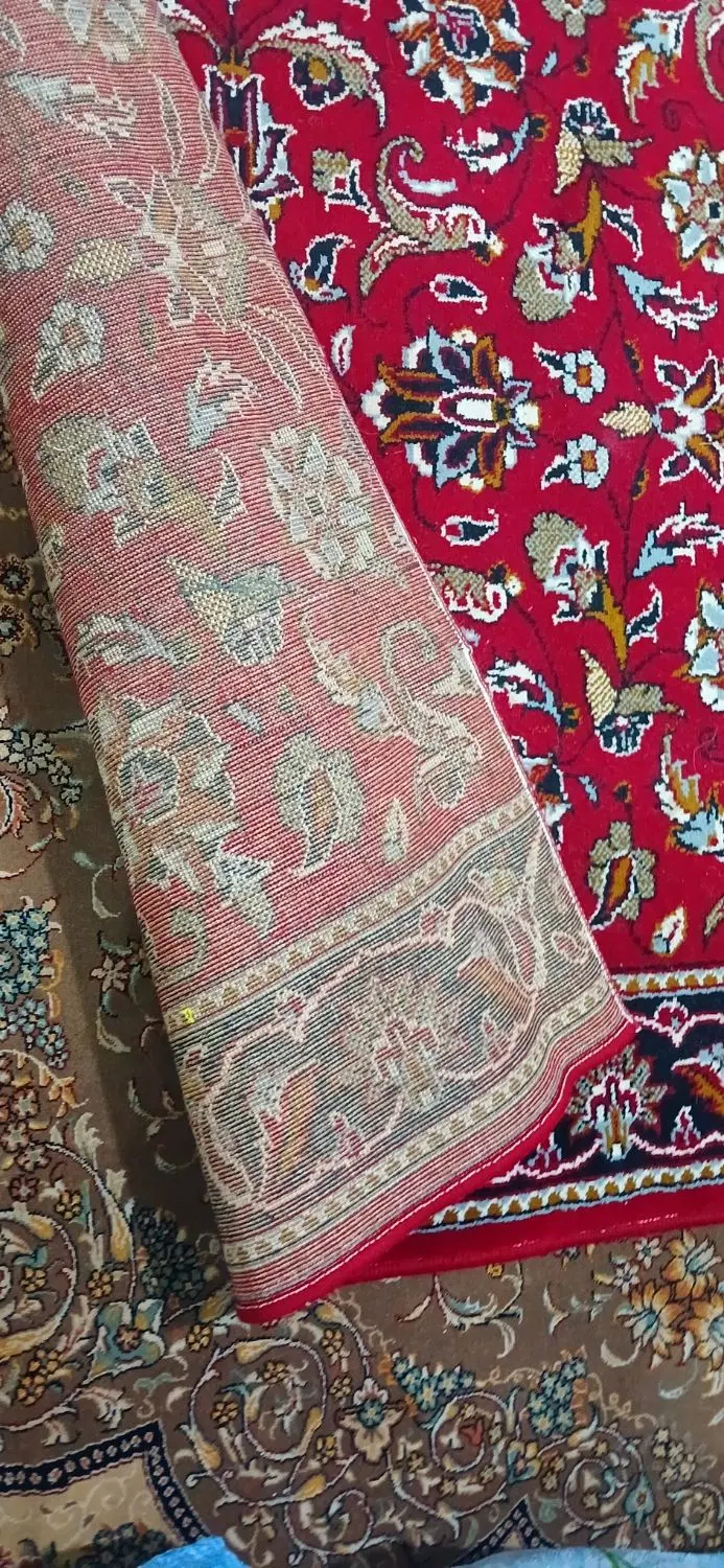 فرش|فرش|شیراز, آزادگان|دیوار