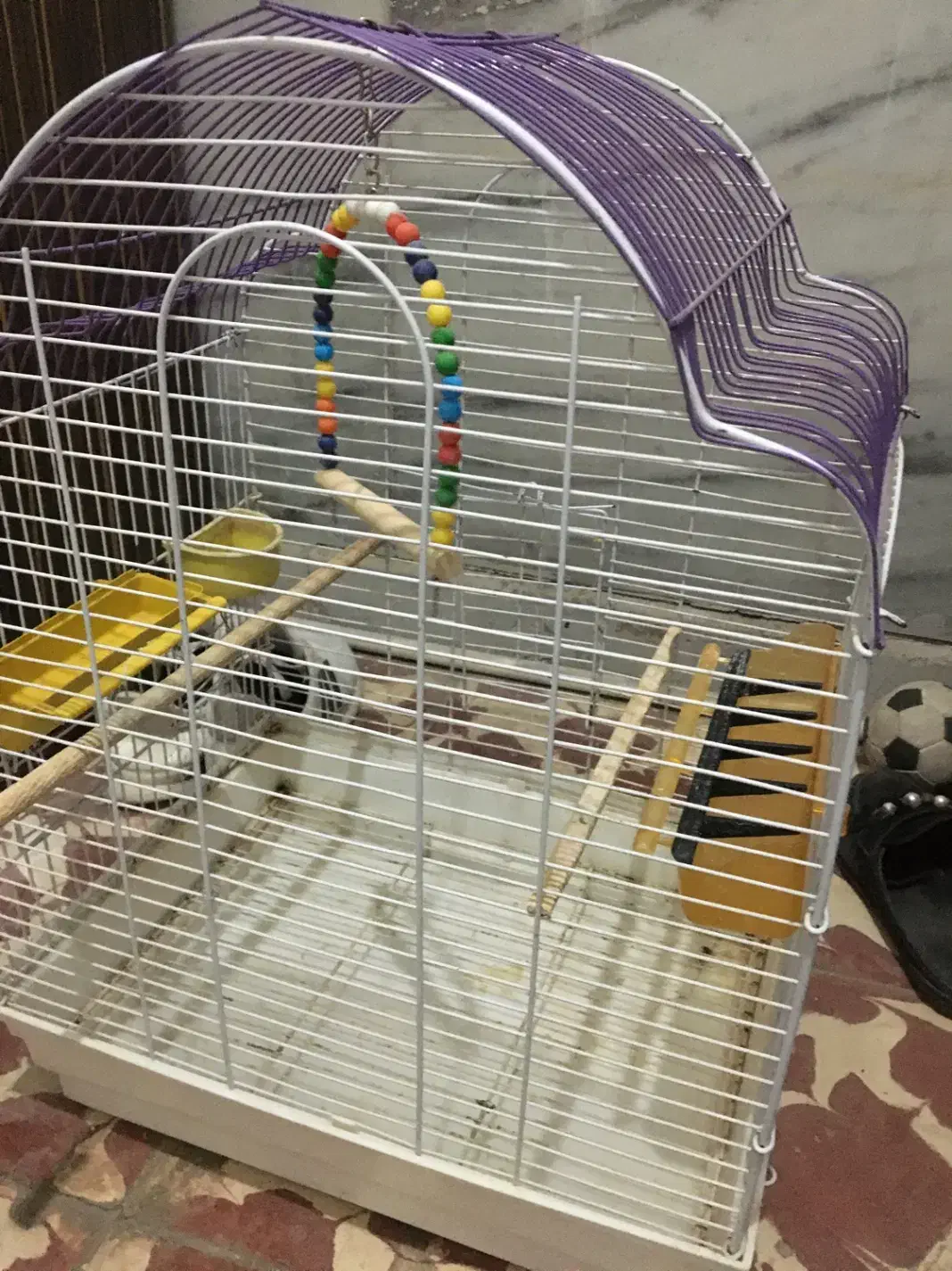 قفس پرنده|لوازم جانبی حیوانات|میانه, |دیوار