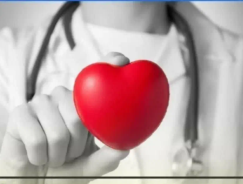 کار در منزل|استخدام بازاریابی و فروش|علیآباد کتول, |دیوار