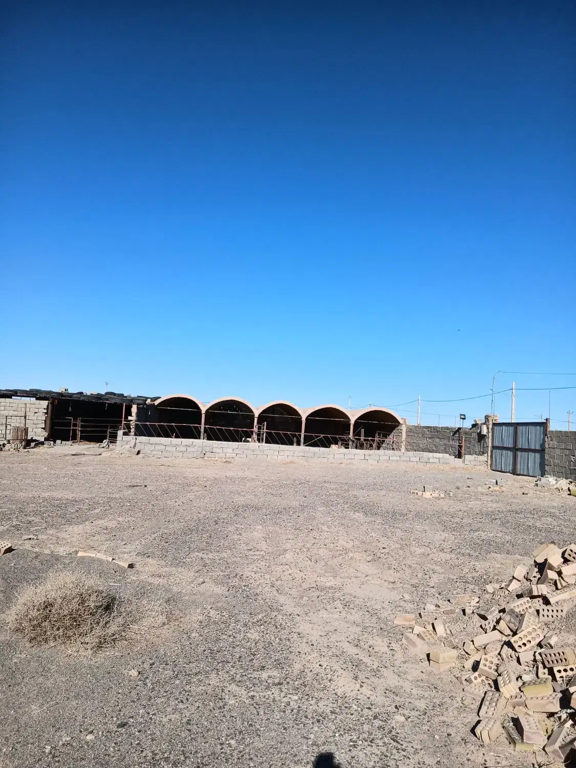 گاوداری|فروش دفتر صنعتی، کشاورزی، تجاری|فردوس (خراسان), |دیوار