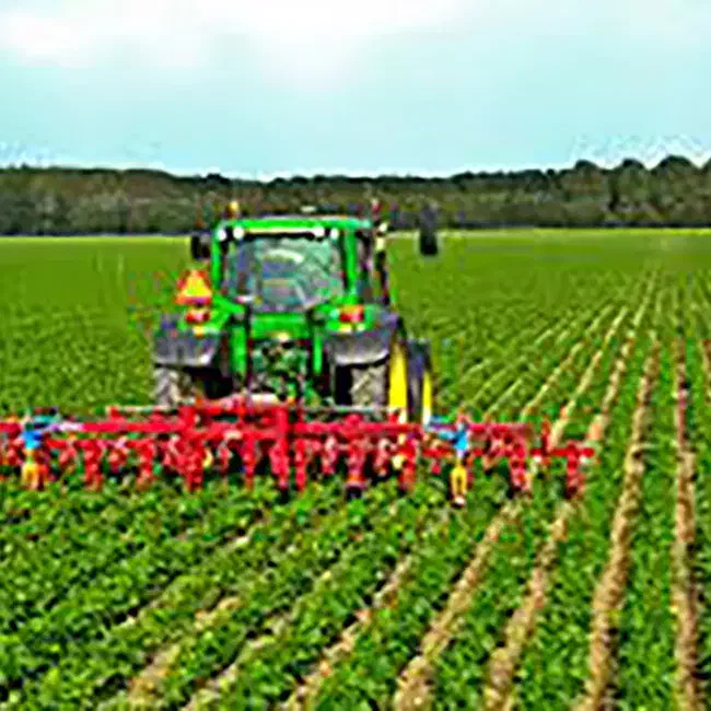 فروش شرکت رتبه 5 کشاورزی فضای سبز آزاد پاکان سخاوت|خدمات مالی، حسابداری، بیمه|اردبیل, |دیوار