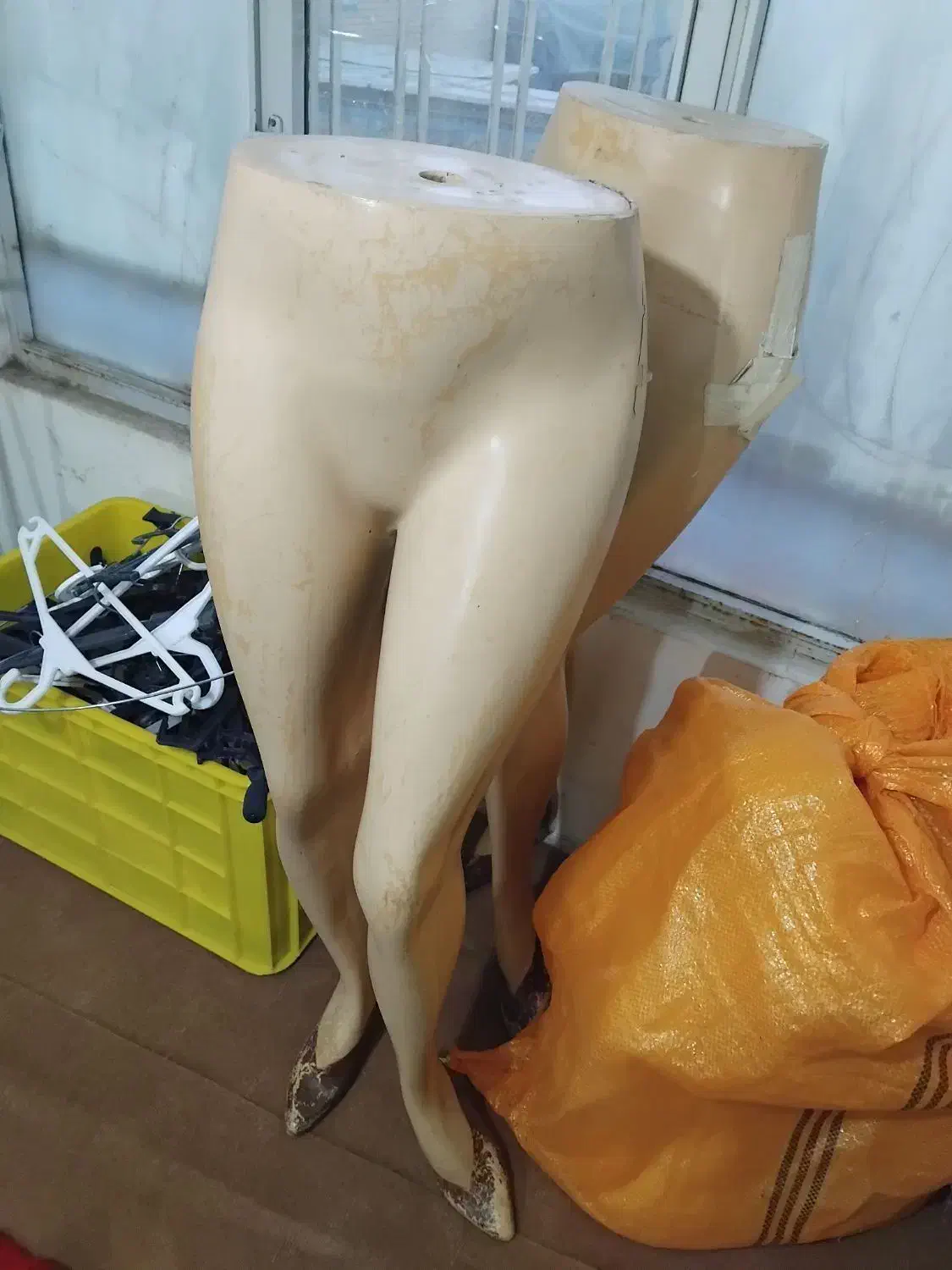 رگال و مانکن|فروشگاه و مغازه|زنجان, |دیوار