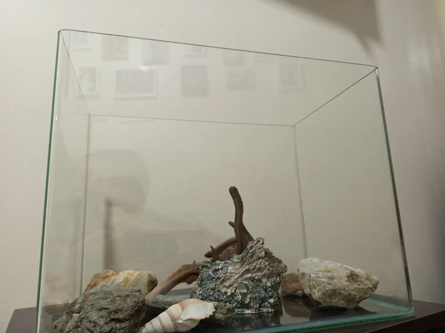 آکواریوم سالم|ماهیگیری|گلستان (تهران), |دیوار