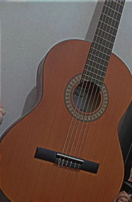 گیتار پارسی مدل پی هشتاد بهترین گیتار ایرانی کیف|گیتار، بیس، امپلیفایر|مشهد, توس (بلوار توس)|دیوار