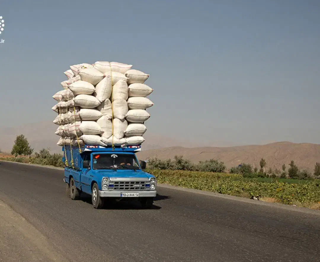 با سلام کاه دیمی گندم نرم تمیز|عمدهفروشی|شهریار, شهرک شاهد|دیوار
