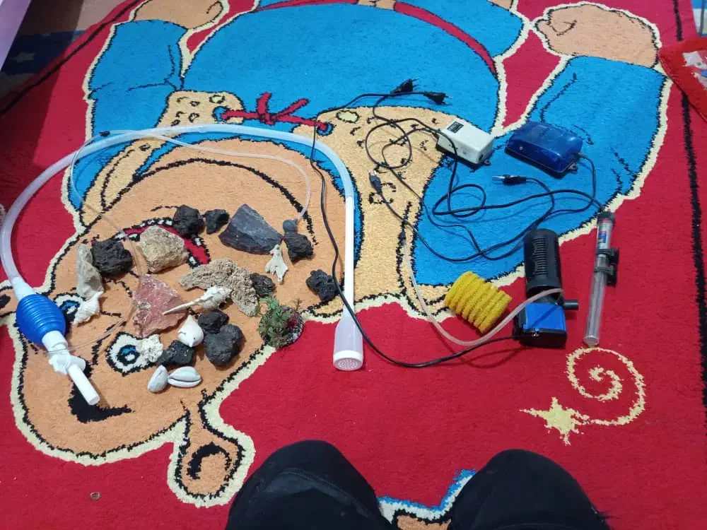 وسایل آکواریوم به فر وش میرسد|ماهی|شاهین‌شهر, شهرک گلدیس|دیوار