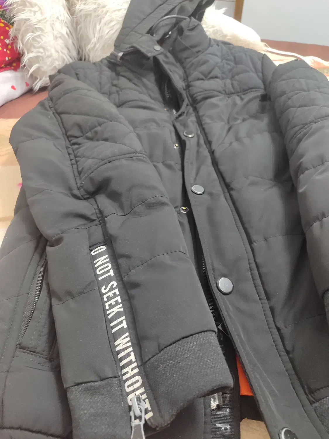 کاپشن مردانه|لباس|ارومیه, |دیوار