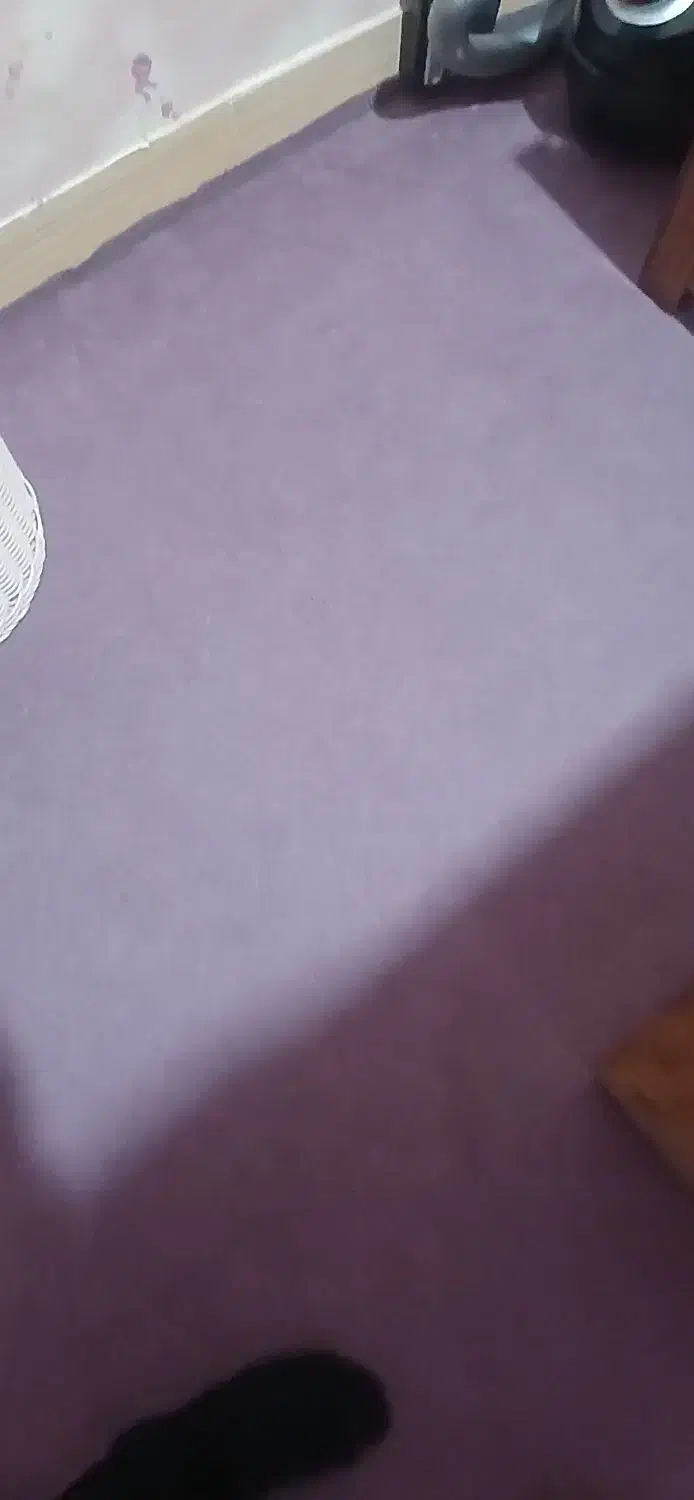 ۴۰متر موکت ۲سال کارکرد|موکت|اراک, |دیوار