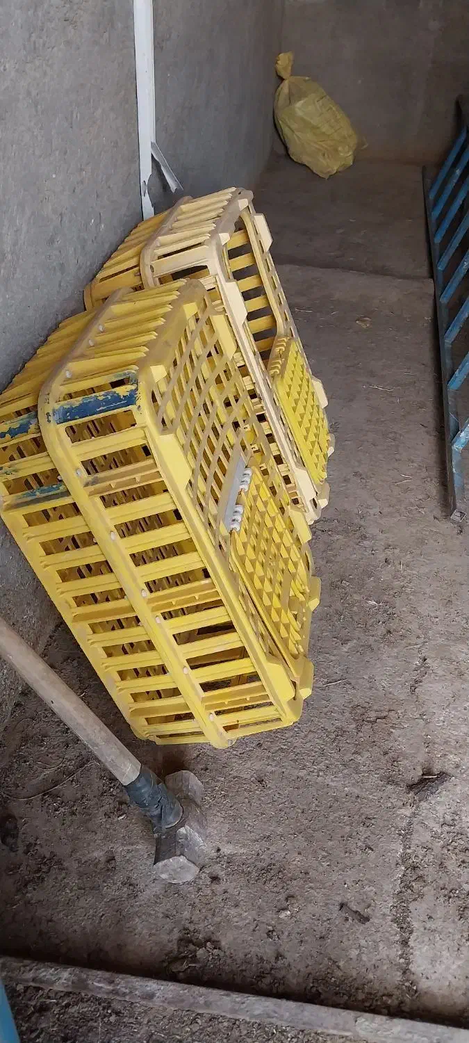 جعبهی حیوانات|لوازم جانبی حیوانات|زنجان, |دیوار