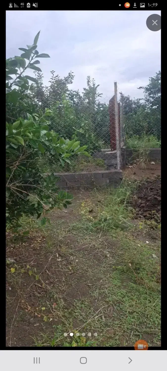 فروش زمین کشاورزی جنب آزادراه قائمشهر ساری|فروش دفتر صنعتی، کشاورزی، تجاری|قائم‌شهر, |دیوار