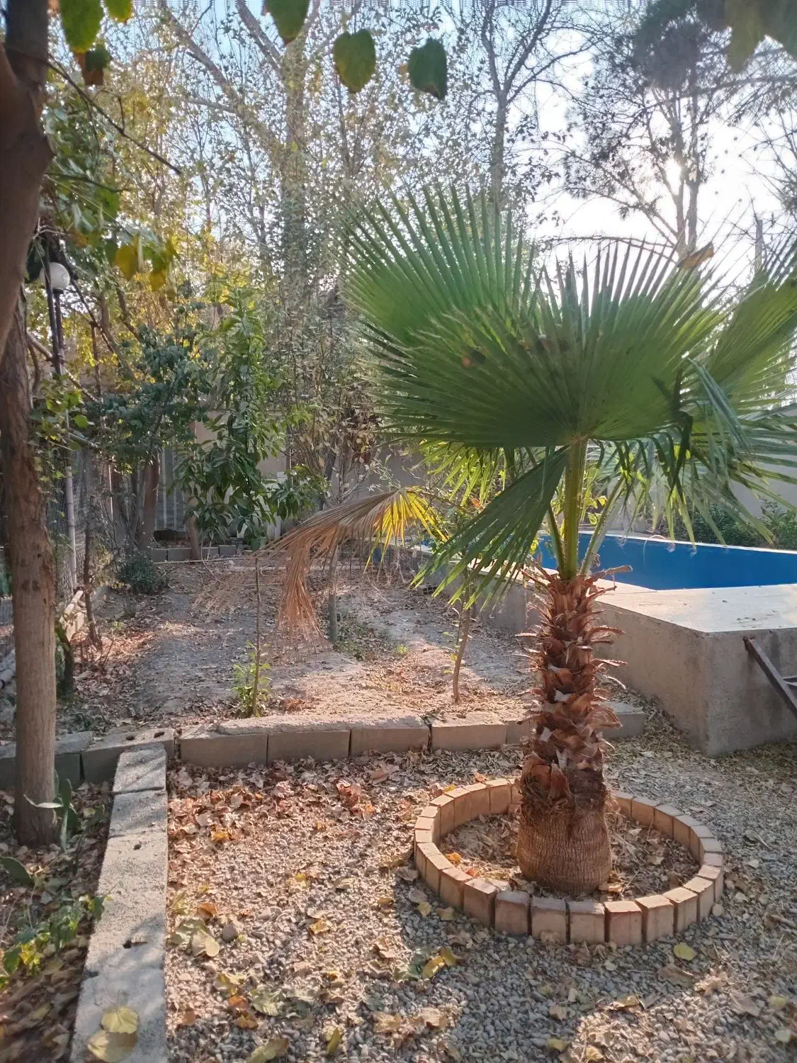 اجاره روزانه باغچه|اجارهٔ کوتاهمدت ویلا و باغ|پاکدشت, پاکدشت (مامازند)|دیوار