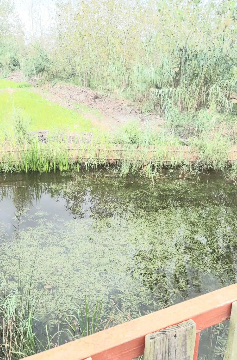 ویلاهای سوئسی لمس آرامش اروپا|فروش خانه و ویلا|بهار, |دیوار