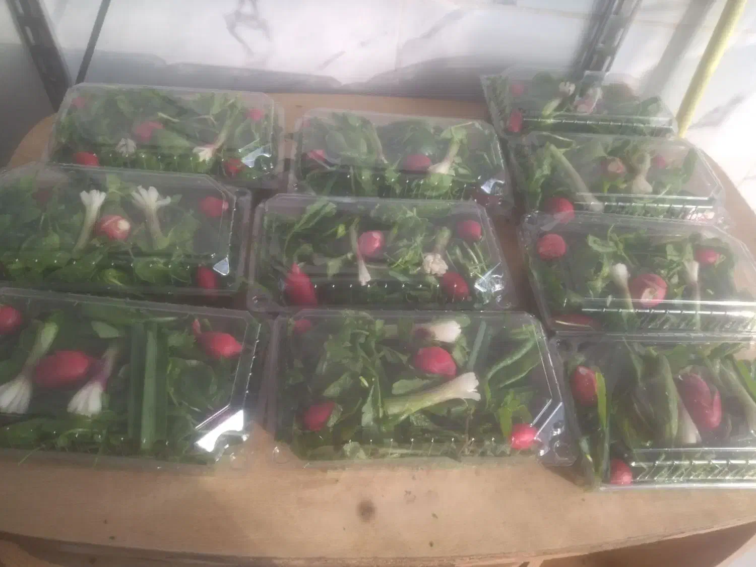 سبزینه سرا|خوردنی و آشامیدنی|قروه, |دیوار