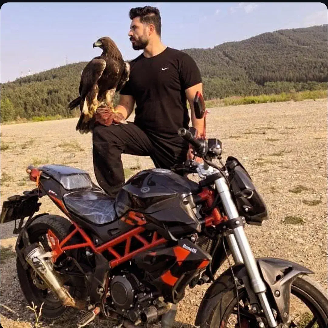 موتور بنلی ۲۵۰ در حد مدل ۴۰۱|موتورسیکلت|گرگان, |دیوار