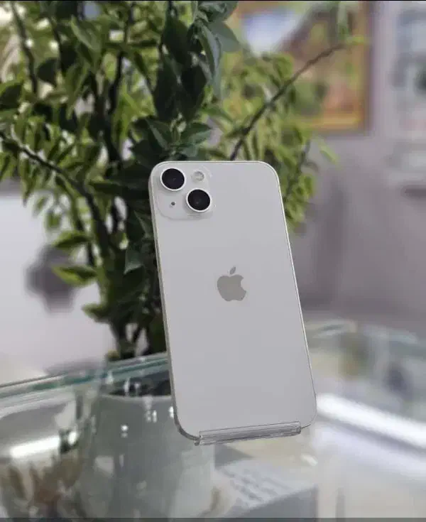 iphone 13 256|موبایل|شیراز, شهرک گلستان|دیوار