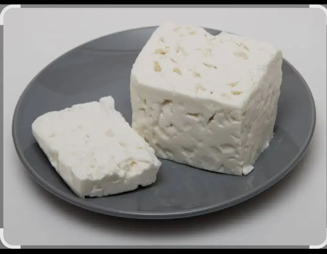 پنیر گوسفندی درجه یک ارگانیک|عمدهفروشی|بناب, |دیوار