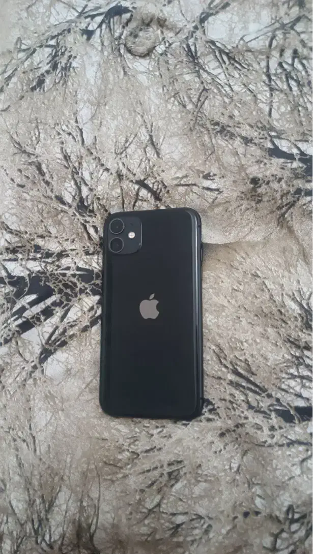 گوشی iPhone 11 نرمال خالی|موبایل|تبریز, |دیوار