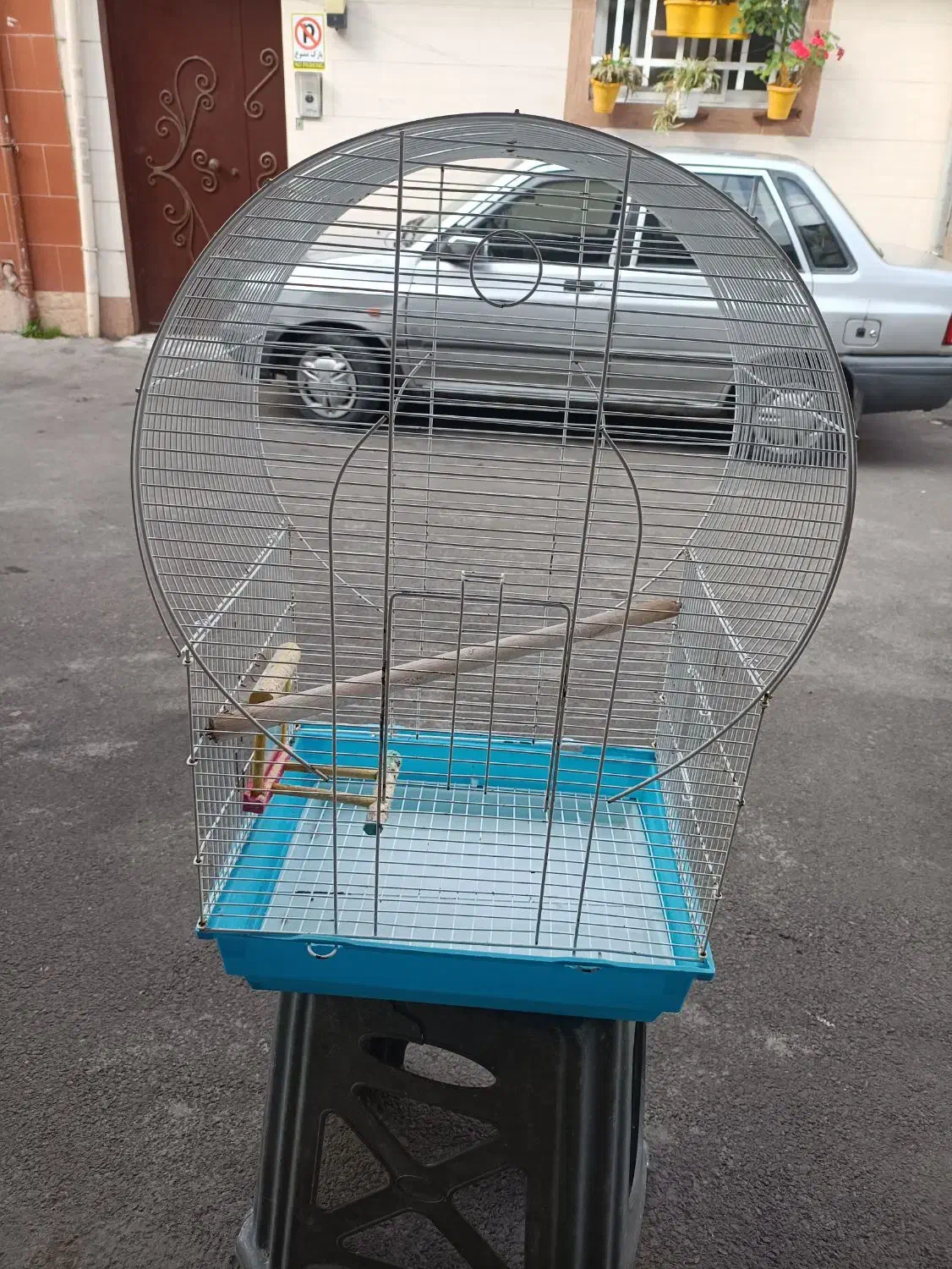 چهار تا قفس سایز بزرگ|لوازم جانبی حیوانات|رشت, معلولین|دیوار