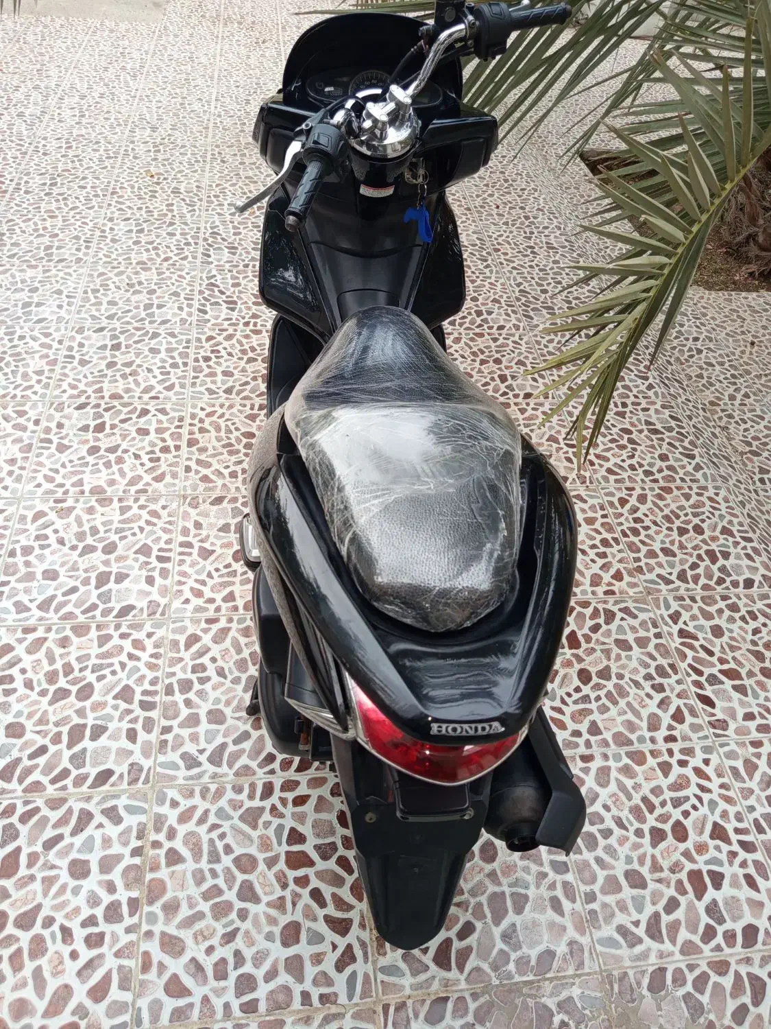 pcx|موتورسیکلت|بندر دیر, |دیوار