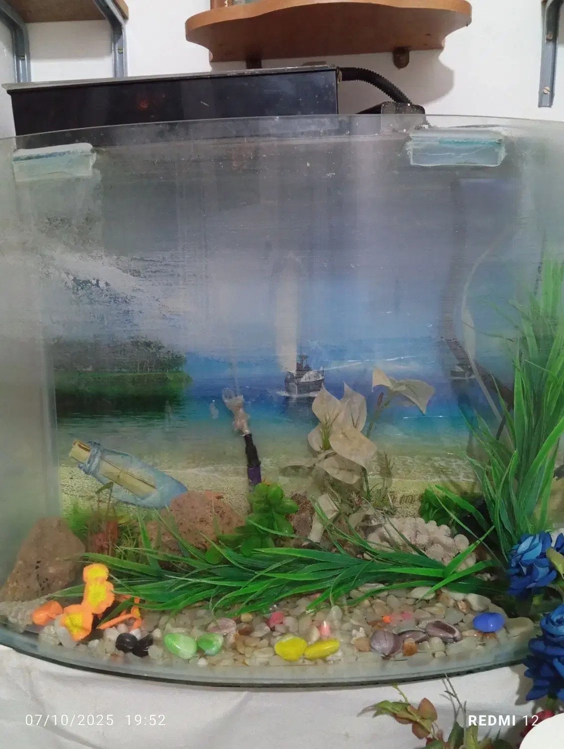 اکواریوم شیشه خم|ماهی|شهریار, شهریار|دیوار