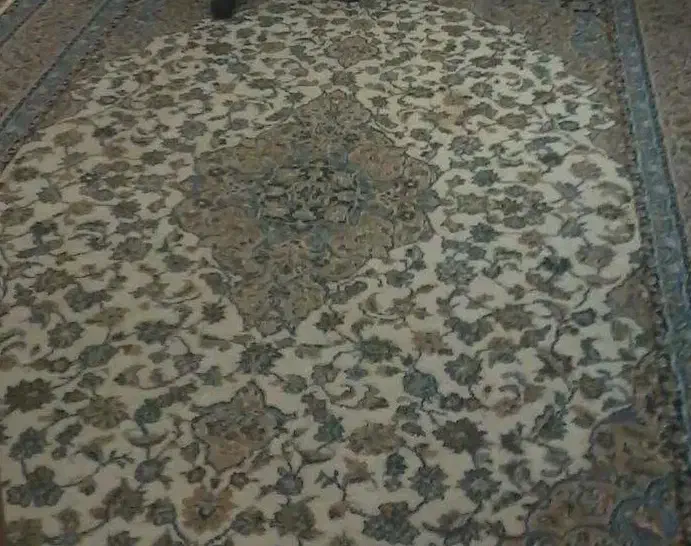 فرش فرهی|فرش|رشت, دیانتی|دیوار