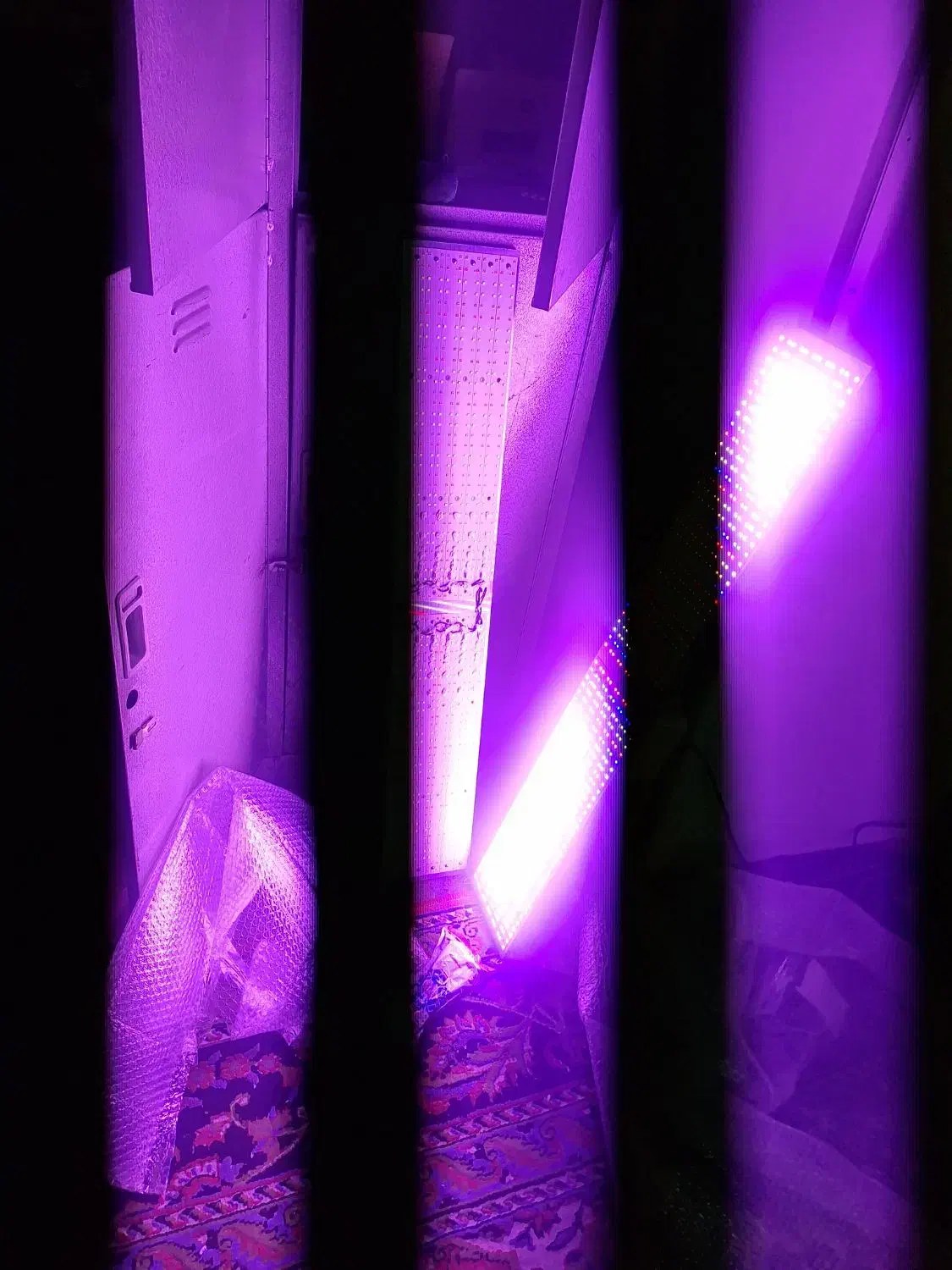 پنل رشد گیاه( مخصوص) دو عدد|لامپ و چراغ|تهران, منیریه|دیوار