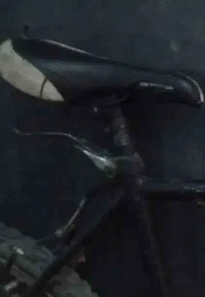 دو چرخه دماوند ۲۶گم شده   یابنده  مژدگانی  داده می|دوچرخه، اسکیت، اسکوتر|تربت جام, معدآباد|دیوار