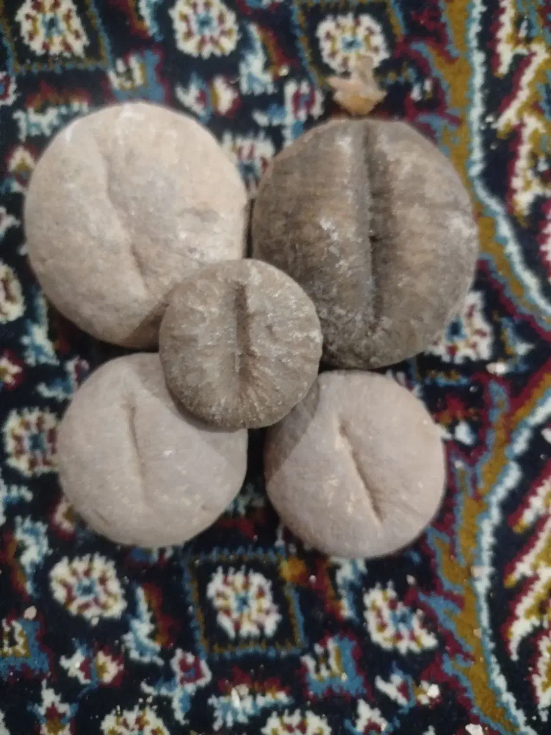 سنگ|جواهرات|دزفول, |دیوار