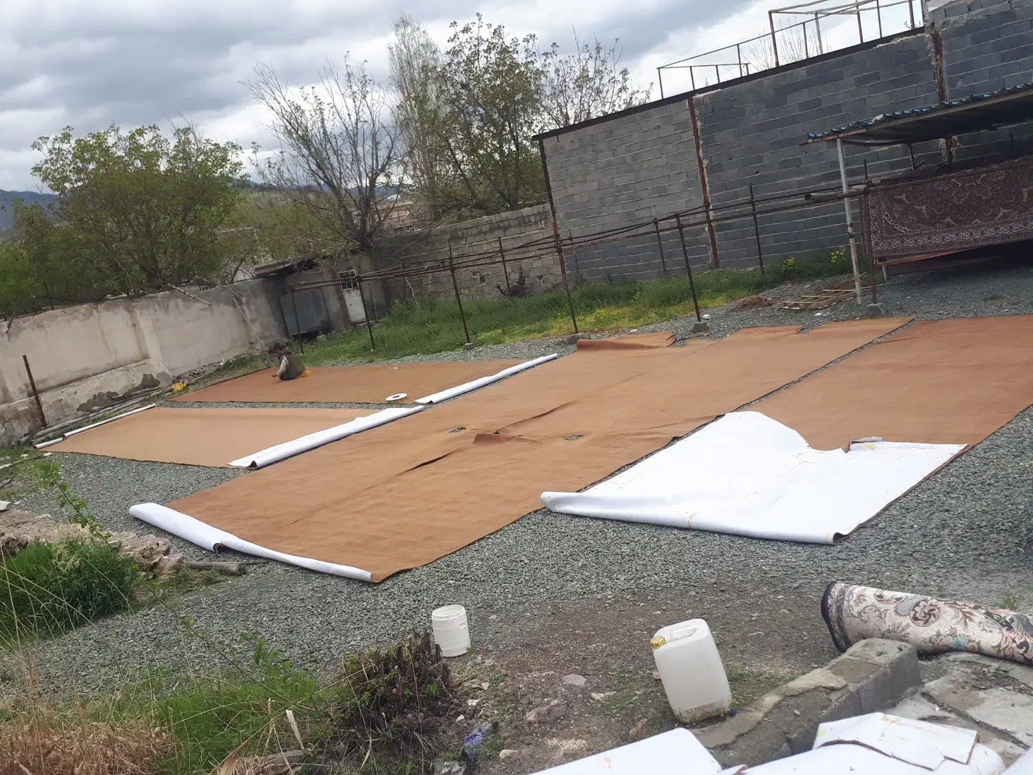 قالیشویی تک سنندج|خدمات نظافت|سنندج, |دیوار