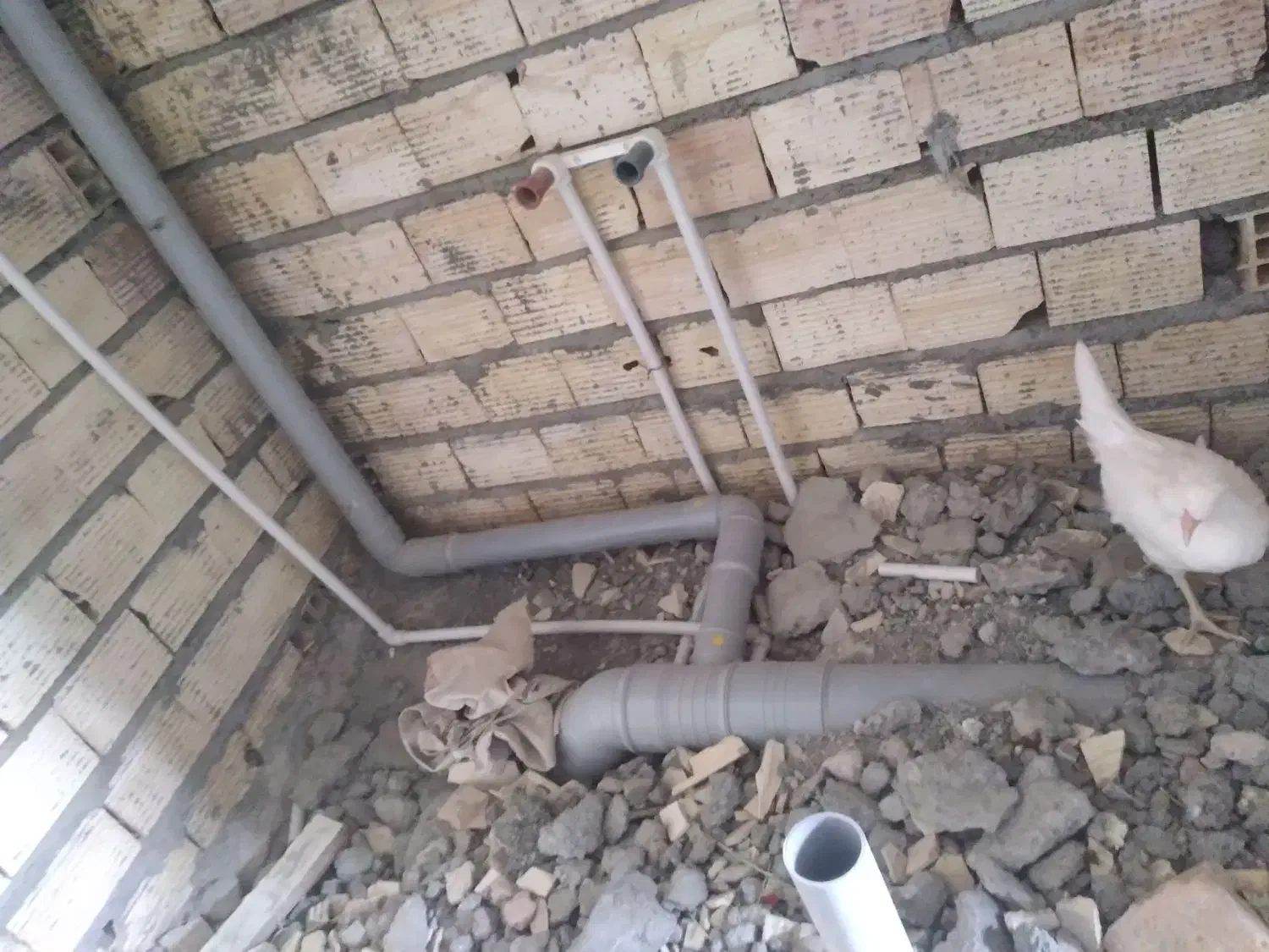 لوله کش|خدمات پیشه و مهارت|زاهدان, |دیوار